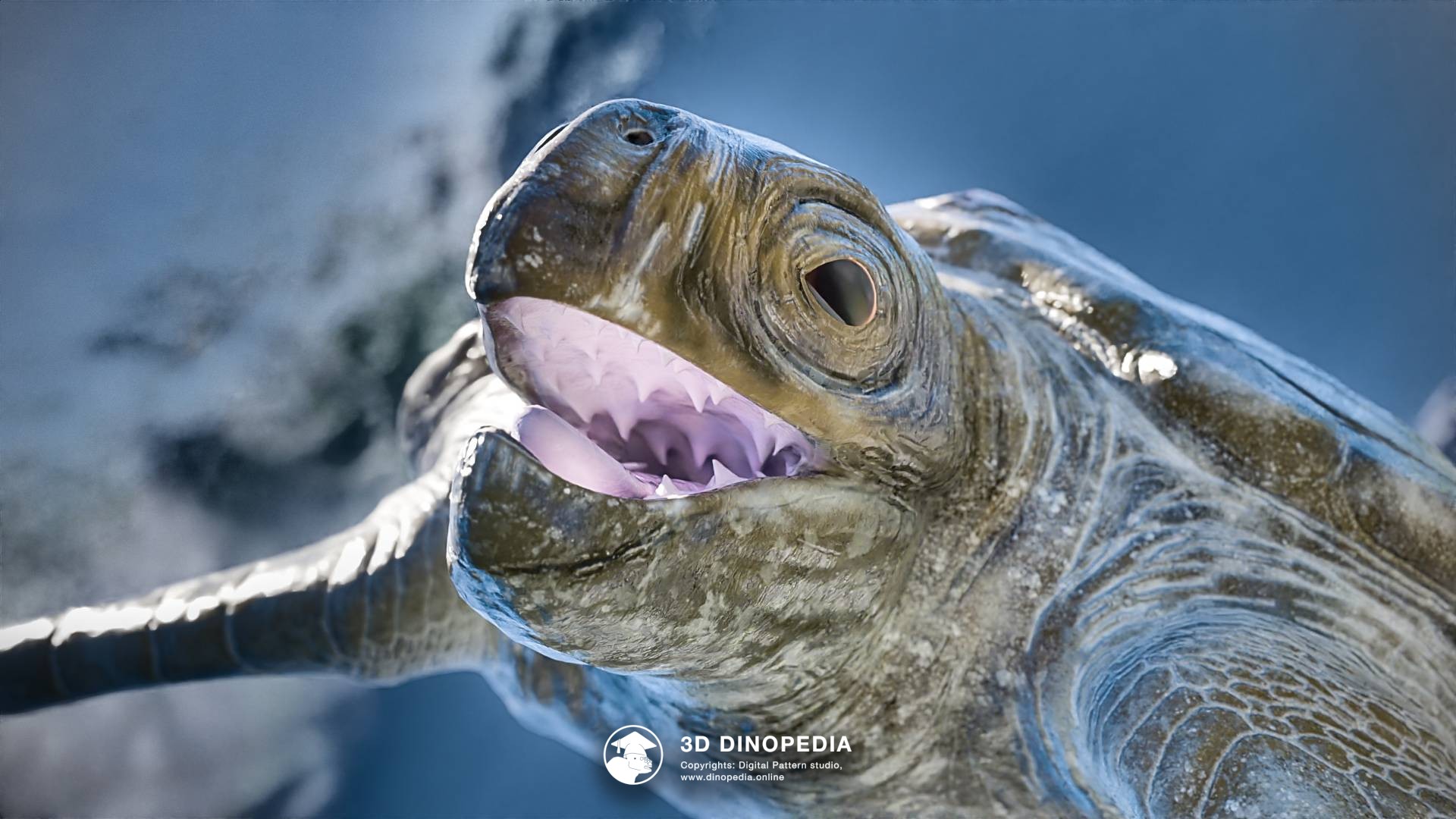 3D Dinopedia Unveiling 3D Dinopedia's Newest Inhabitants!