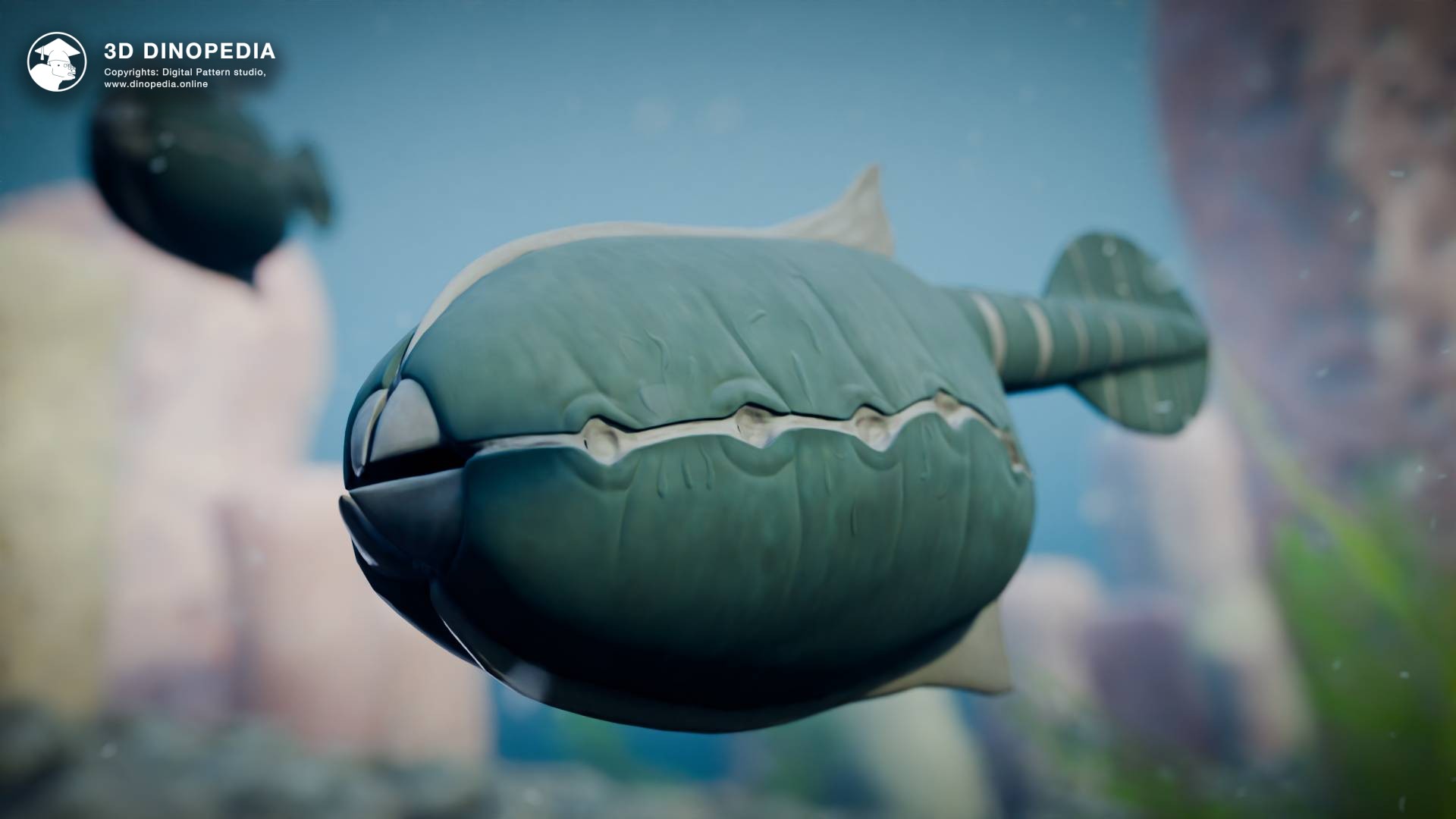 Discover the Ancient Vetulicola: Explore a Unique Cambrian Creature | 3D Dinopedia