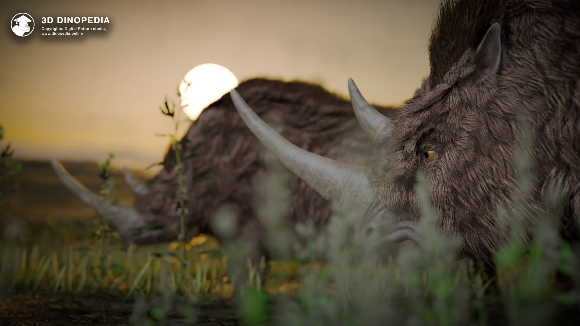 Meet the Mighty Woolly Rhinoceros: Step Back into the Ice Age | 3D Dinopedia