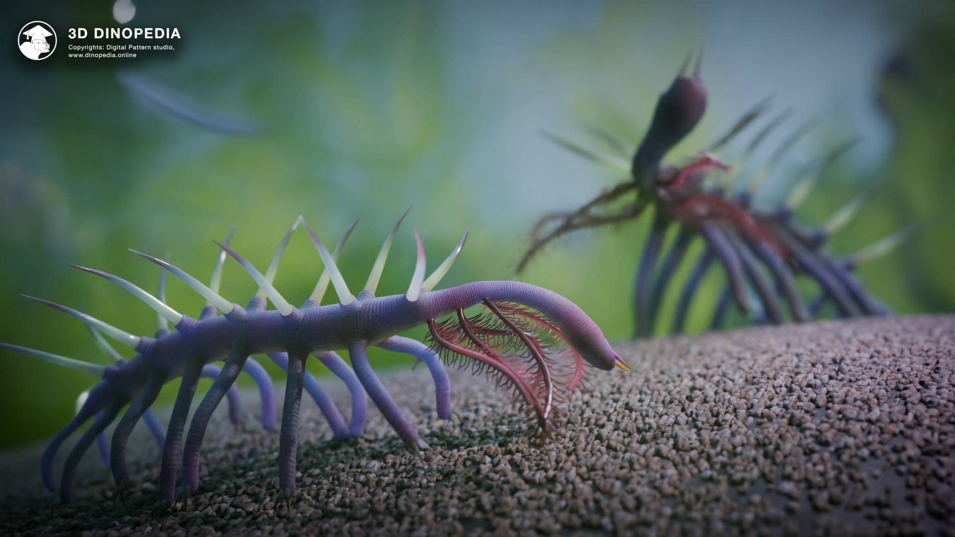 Meet the Bizarre Hallucigenia: A Strange Creature of the Cambrian Era | 3D Dinopedia
