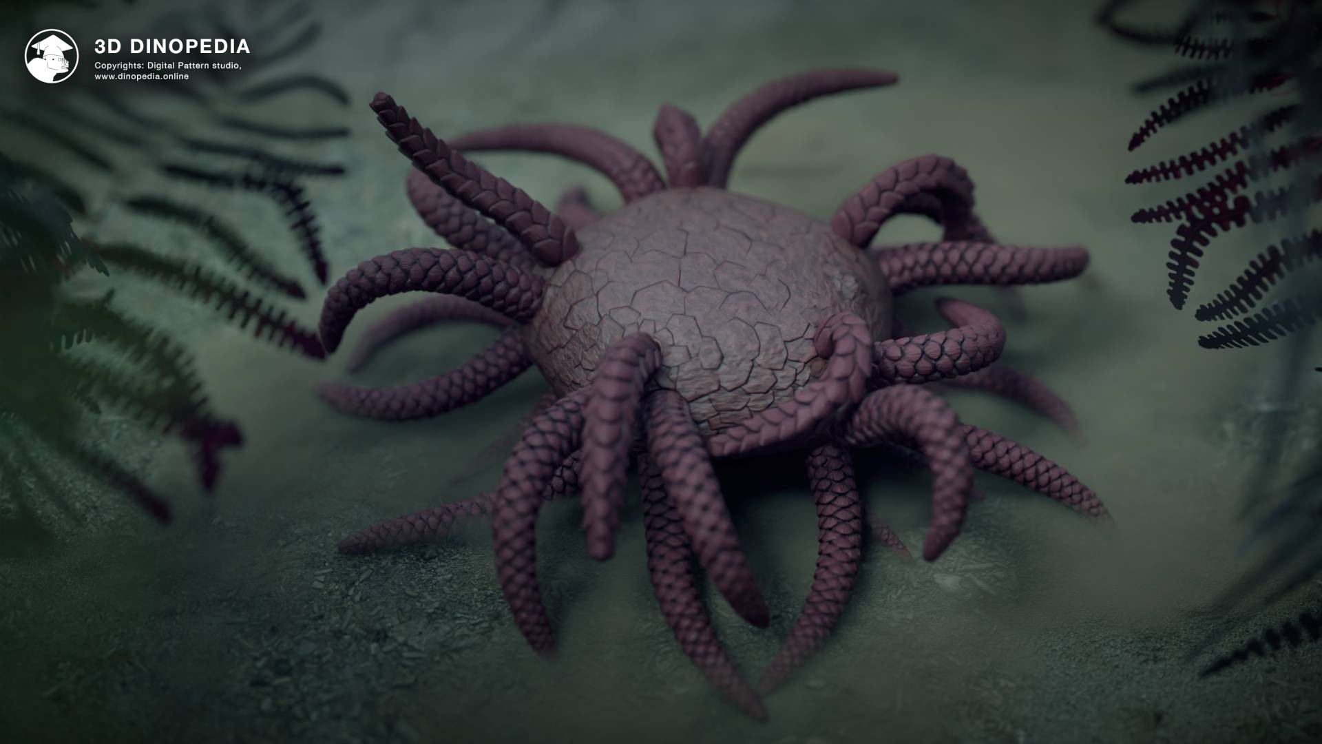 Discover the Enigmatic Sollasina: A Spiny, Soft-Bodied Sea Creature | 3D Dinopedia