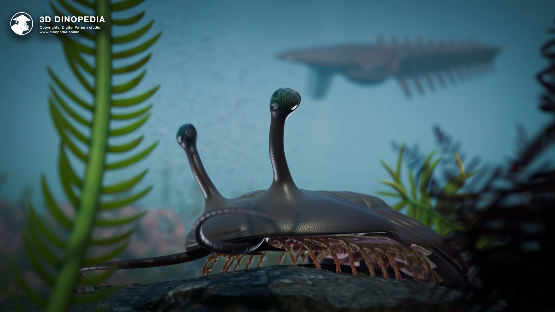 Discover the Ancient Asaphus: A Trilobite from the Ordovician Seas | 3D Dinopedia