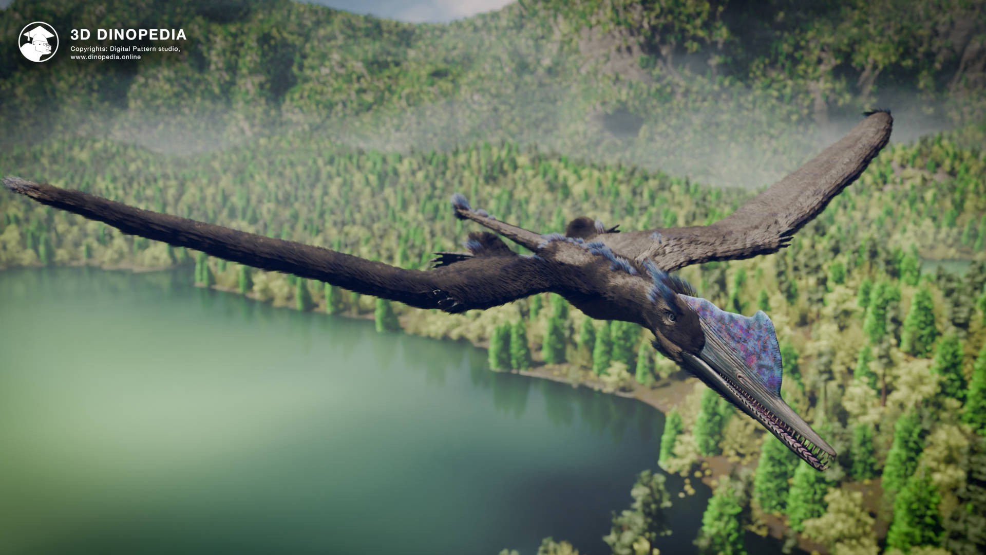 Meet Darwinopterus in 3D Dinopedia! | 3D Dinopedia