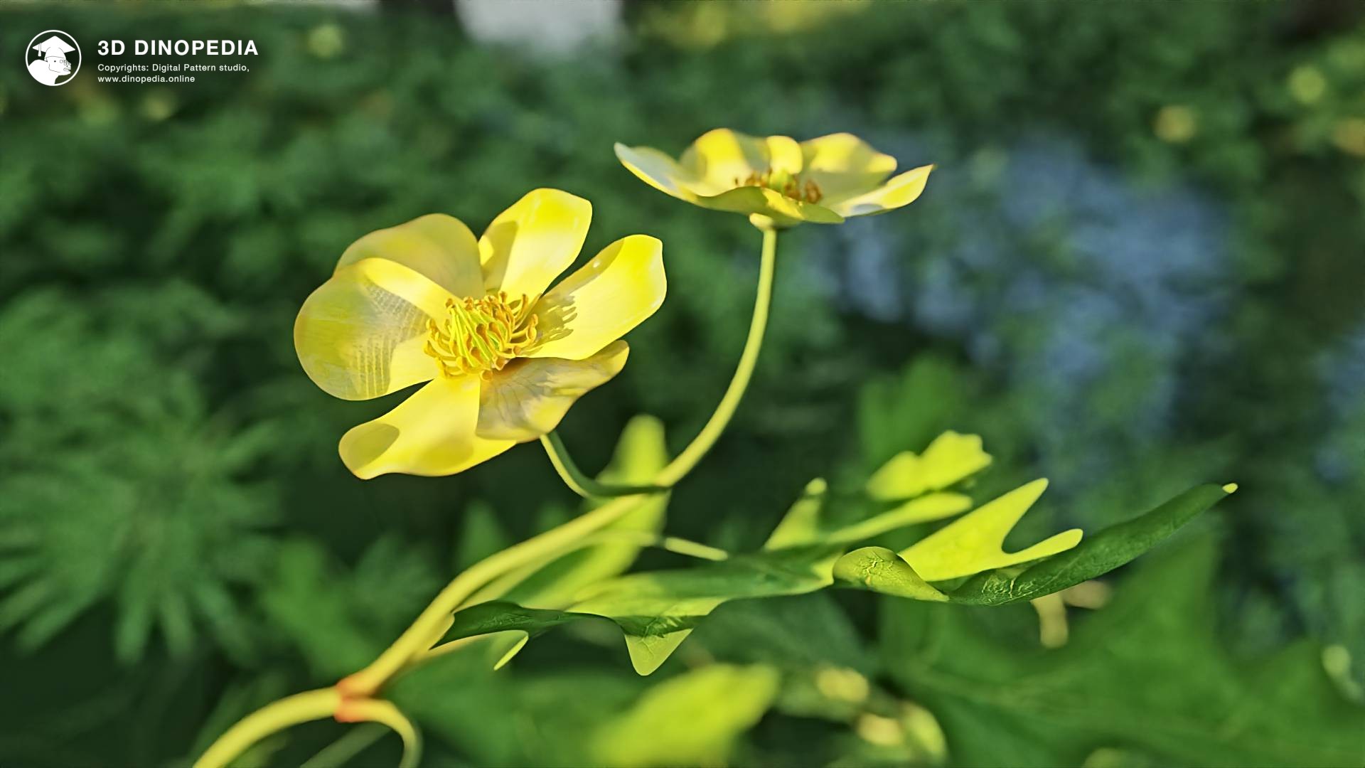 Expand Your Knowledge of the Plant Kingdom in 3D Dinopedia! | 3D Dinopedia