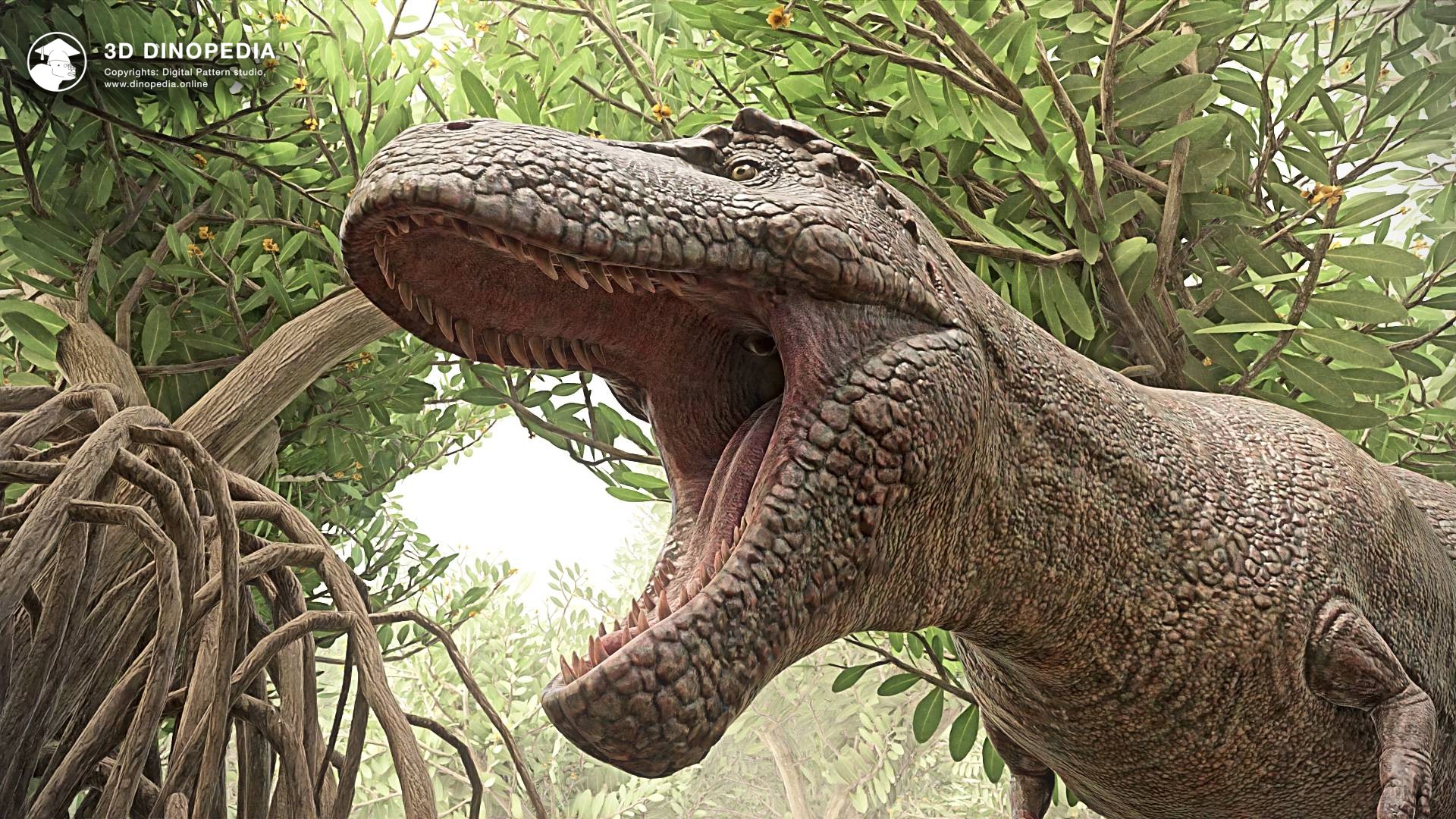 Hail to the King: The Most Accurate Tyrannosaurus Model | 3D Dinopedia