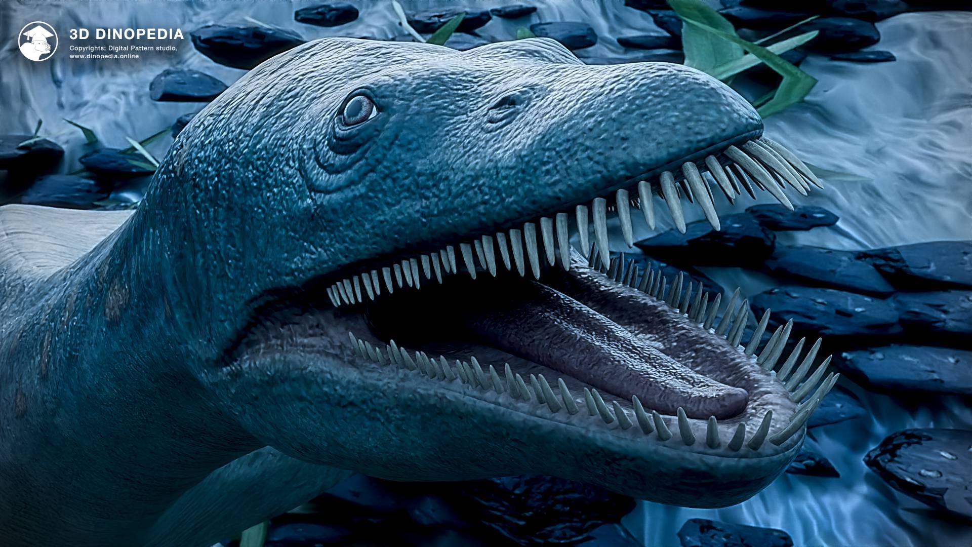 New Animals in the Encyclopedia: 3D Dinopedia | 3D Dinopedia