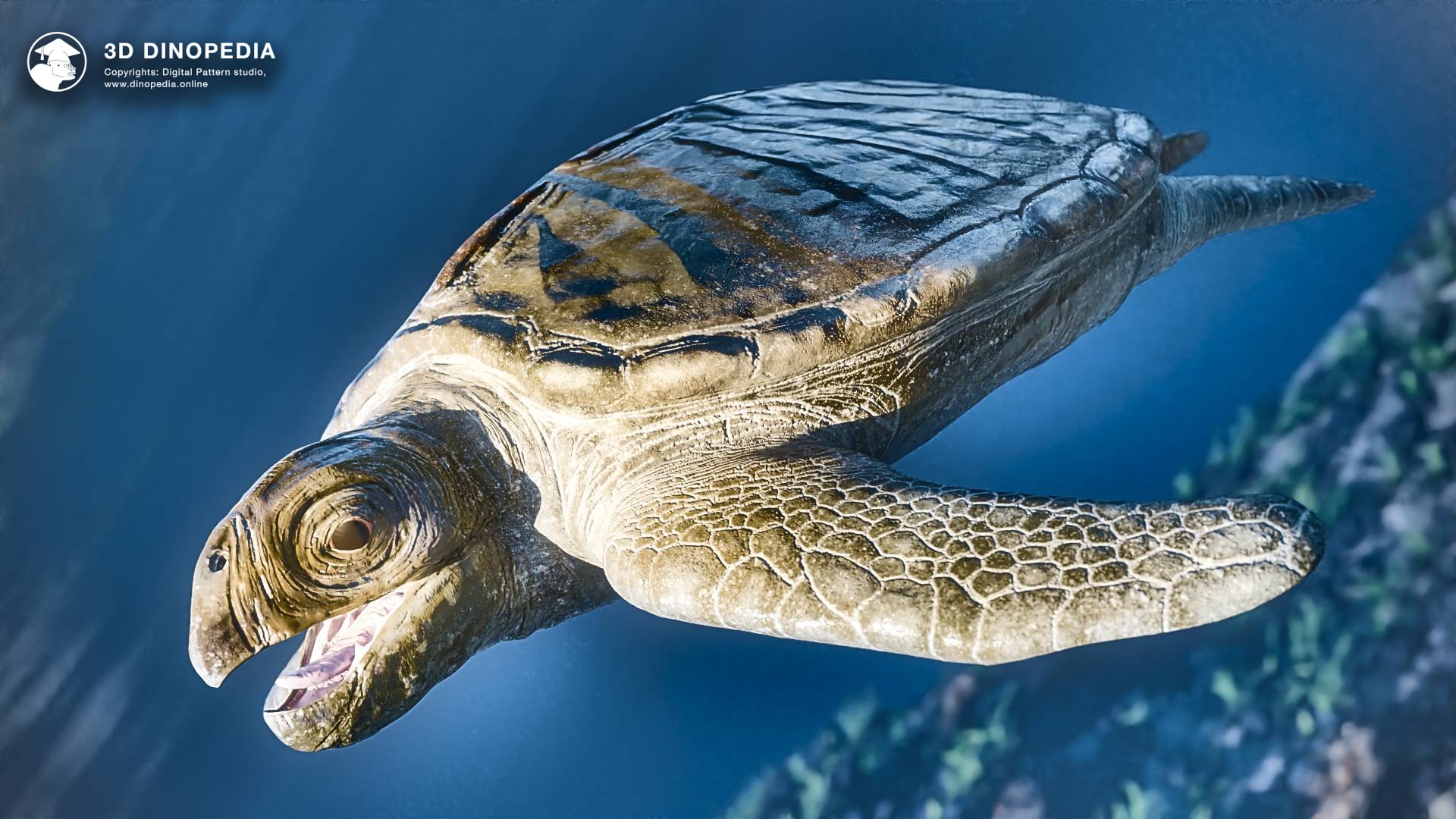 Unveiling 3D Dinopedia's Newest Inhabitants! | 3D Dinopedia
