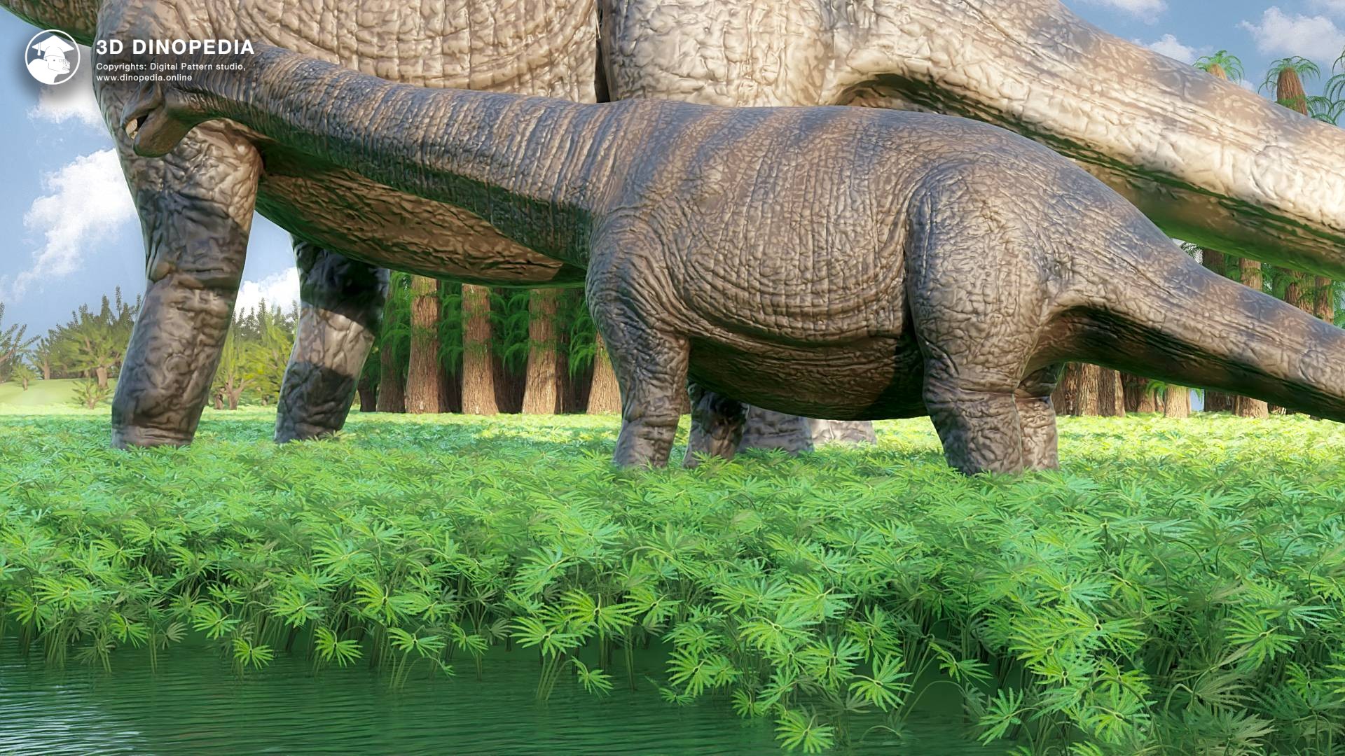 3D Dinopedia Exposing the 'live-bearing sauropods