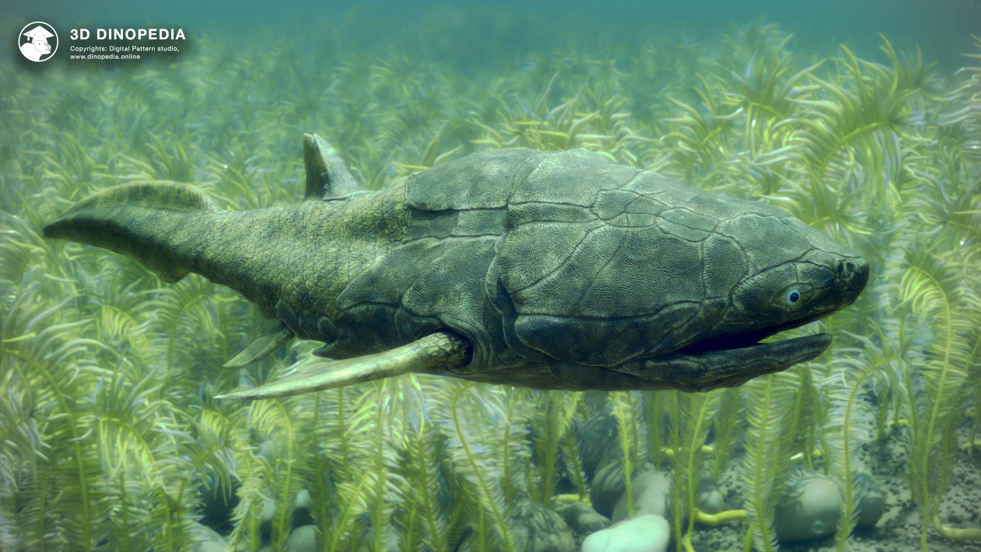 3D Dinopedia Mysterious Portrait of the Ancient Fish