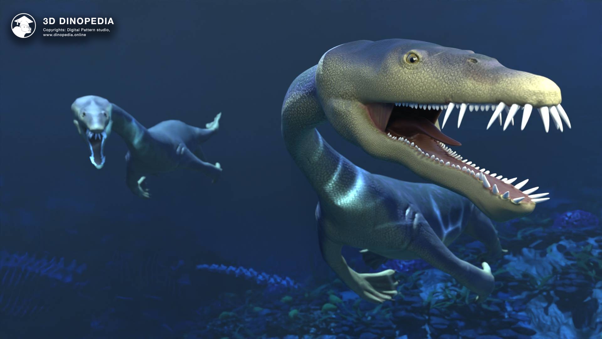 3D Dinopedia Nothosaurs, Plesiosaurs, and the Mystery of the Long Neck