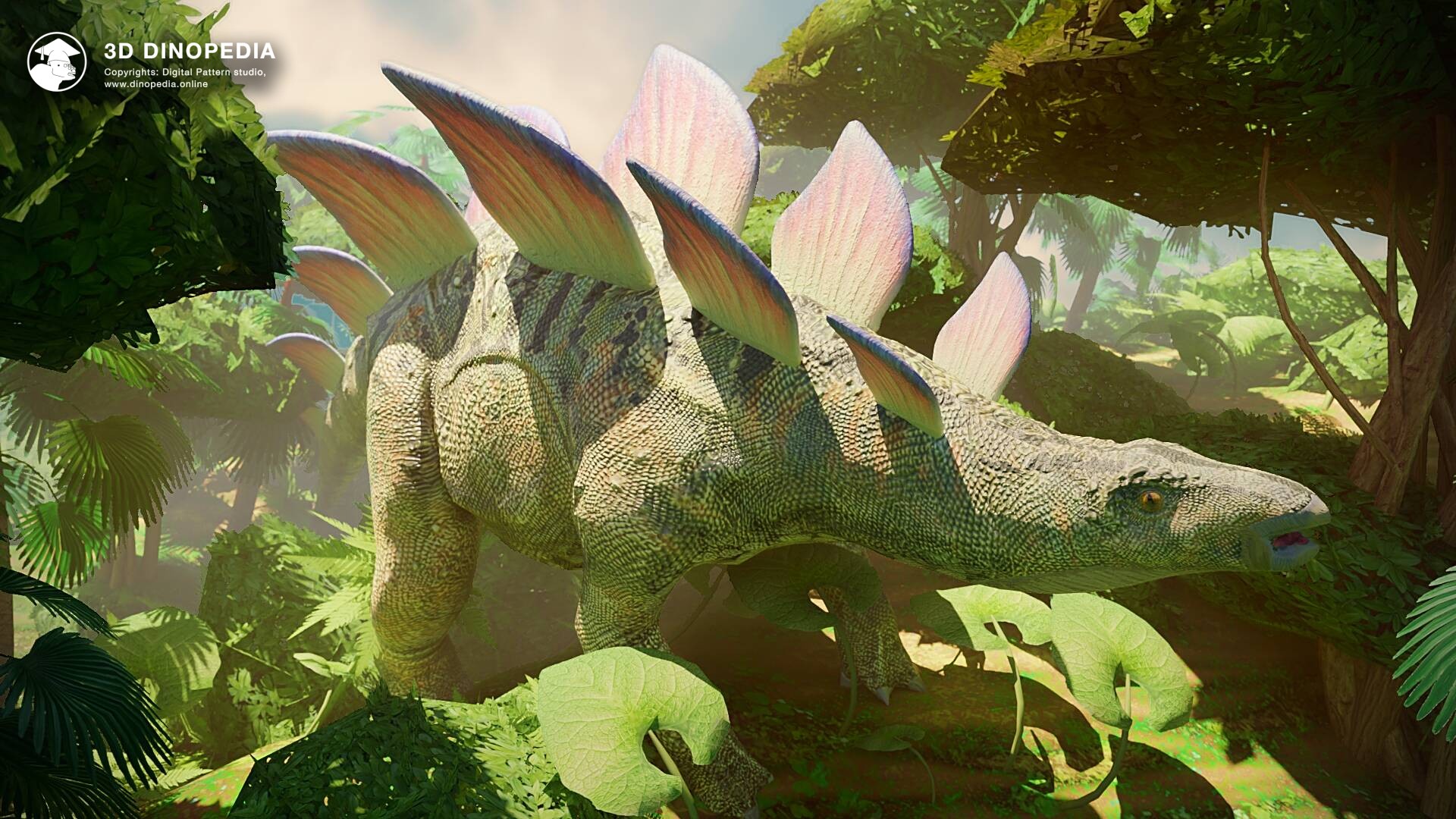 3D Dinopedia The most famous stegosaurs