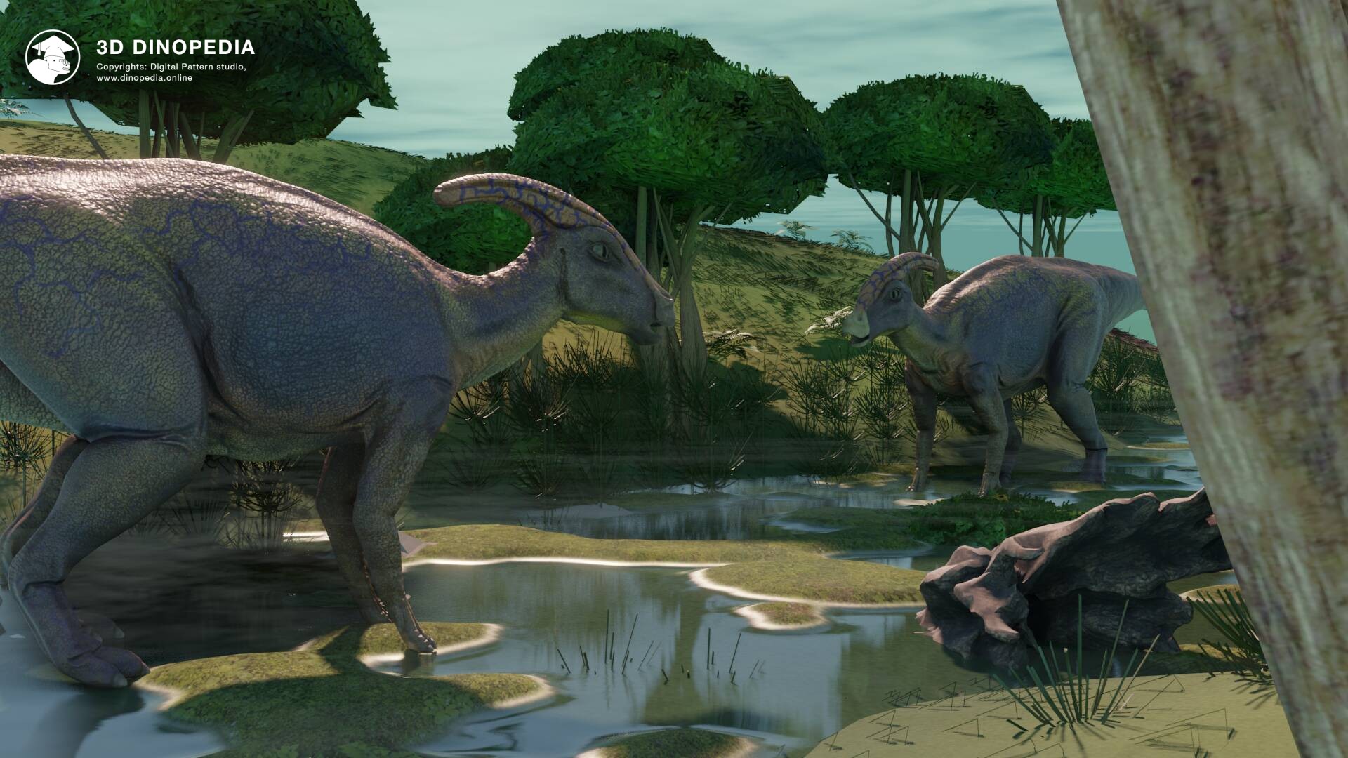 3D Dinopedia What were the voices of ancient animals like?