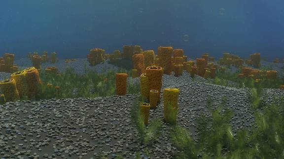 Marine environment | 3D Dinopedia