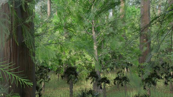 Mixed and broadleaf forests | 3D Dinopedia