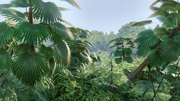 Tropical and subtropical forests | 3D Dinopedia