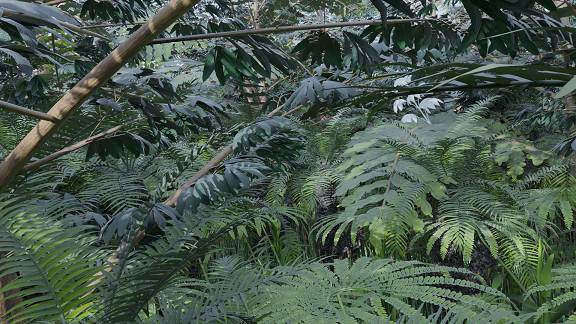 Тропические и субтропические леса | 3D Dinopedia