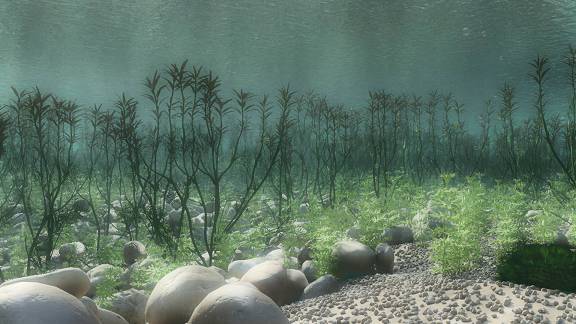 3D Dinopedia Freshwater environment