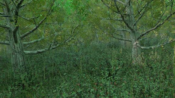 Mixed and broadleaf forests | 3D Dinopedia