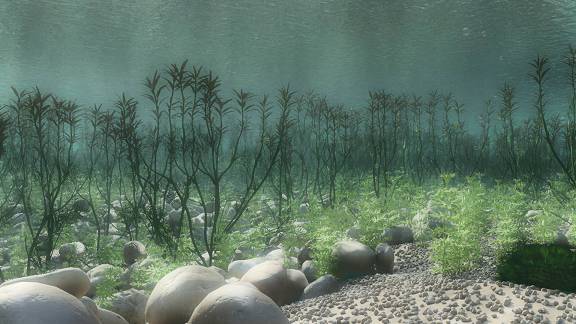 Freshwater environment | 3D Dinopedia