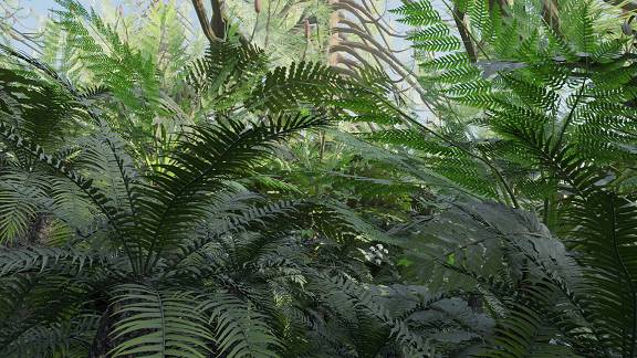 Tropical and subtropical forests | 3D Dinopedia