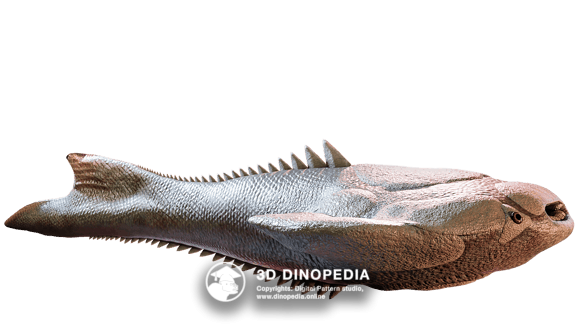 Devonian period Psammolepis | 3D Dinopedia