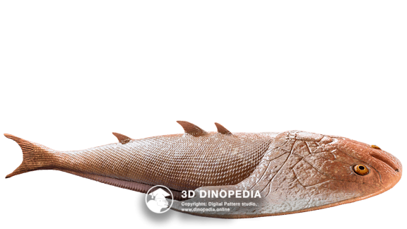 Silurian period Tujiaaspis | 3D Dinopedia