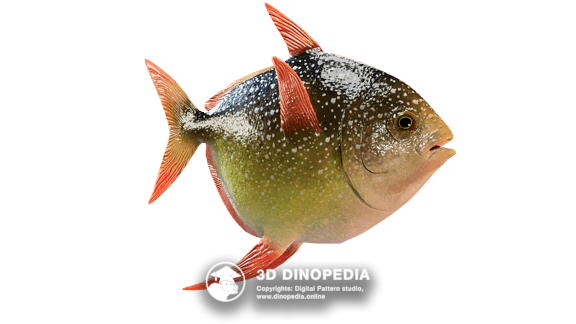 Paleogene period Megalampris | 3D Dinopedia