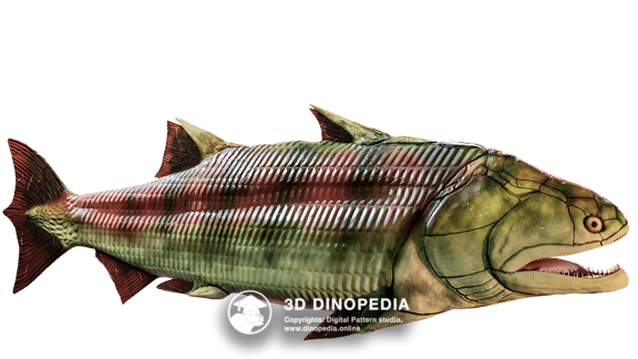 Гуйю | Силурийский период | 3D Dinopedia