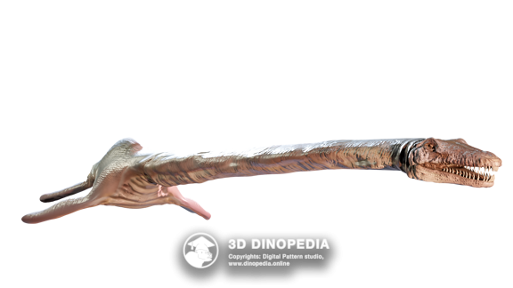 Albertonectes 3D Dinopedia