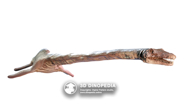 Carboniferous period Eryops 3D Dinopedia