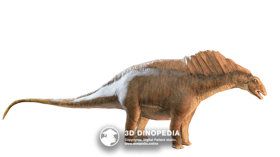 Amargasaurus 3D Dinopedia