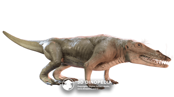 Cretaceous period Carcharodontosaurus 3D Dinopedia