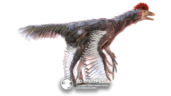 Jurassic period Anchiornis | 3D Dinopedia