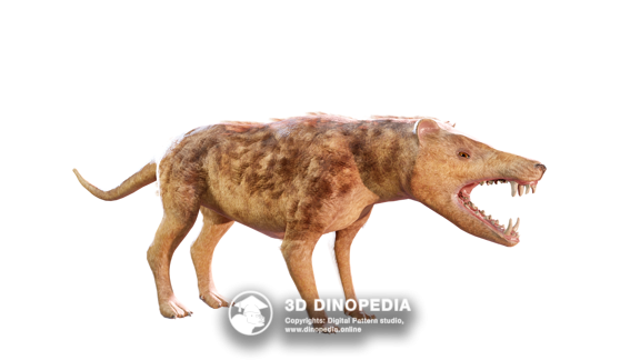 Cretaceous period Nasutoceratops 3D Dinopedia