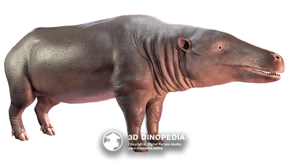 Палеогеновый период Антракотерий 3D Dinopedia