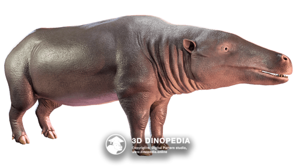 Jurassic period Megazostrodon 3D Dinopedia