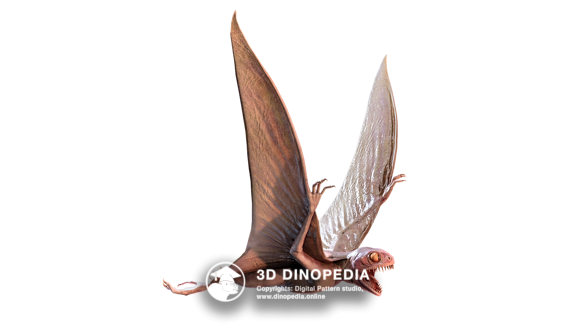 Анурогнат 3D Dinopedia