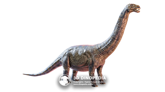 Paleogene period Icaronycteris 3D Dinopedia