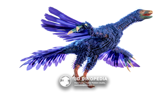 Archaeopteryx 3D Dinopedia