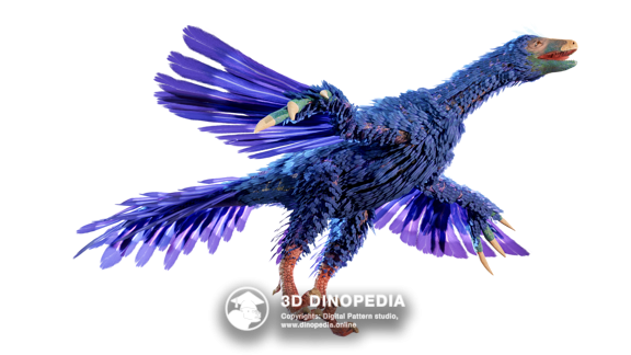 Jurassic period Archaeopteryx | 3D Dinopedia