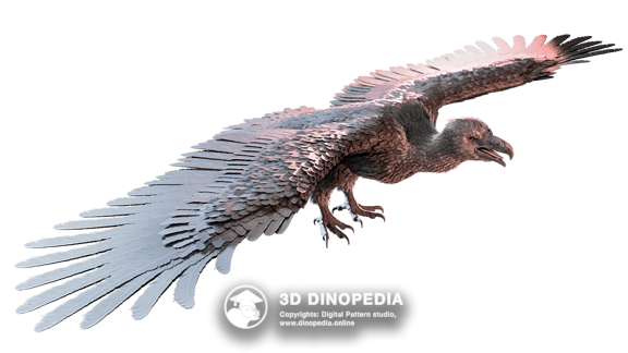 Аргентавис | Неогеновый период | 3D Dinopedia