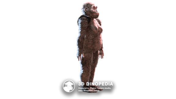 Cretaceous period Sauropelta 3D Dinopedia