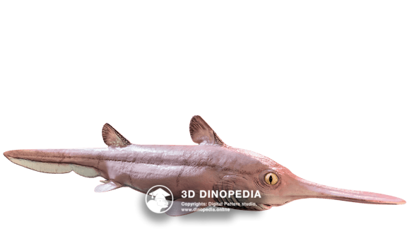 Бандринга | Пермский период | 3D Dinopedia