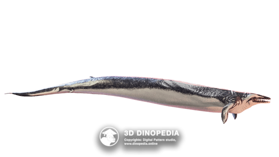 Paleogene period Icaronycteris 3D Dinopedia