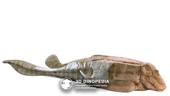 Devonian period Bothriolepis 3D Dinopedia