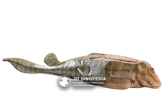 Carboniferous period Pederpes 3D Dinopedia