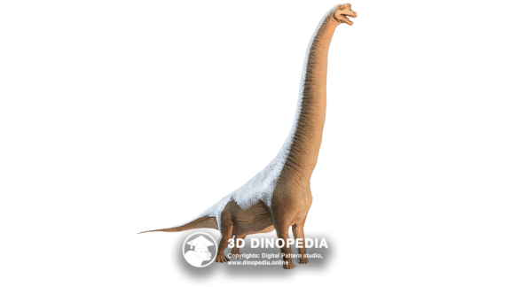 Brachiosaurus 3D Dinopedia