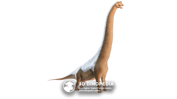 Triassic period Nothosaurus 3D Dinopedia