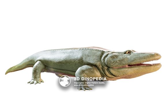 Triassic period Broomistega | 3D Dinopedia
