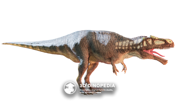 Cretaceous period Carcharodontosaurus | 3D Dinopedia